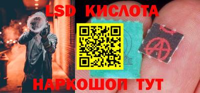 стаф Кулебаки